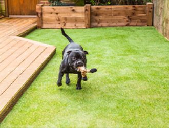 Pet artificial grass