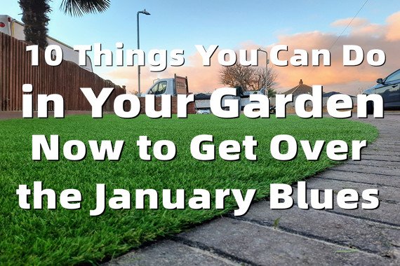 10 Things You Can Do in Your Garden Now to Get Over the January Blues