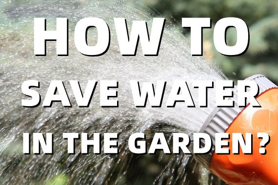 How to Save Water in the Garden？
